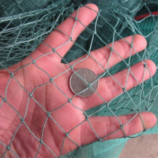 耐用编织绿色PE渔网